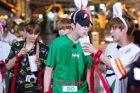 wannaone go在线观看,独家在线观看，揭秘偶像成长之路